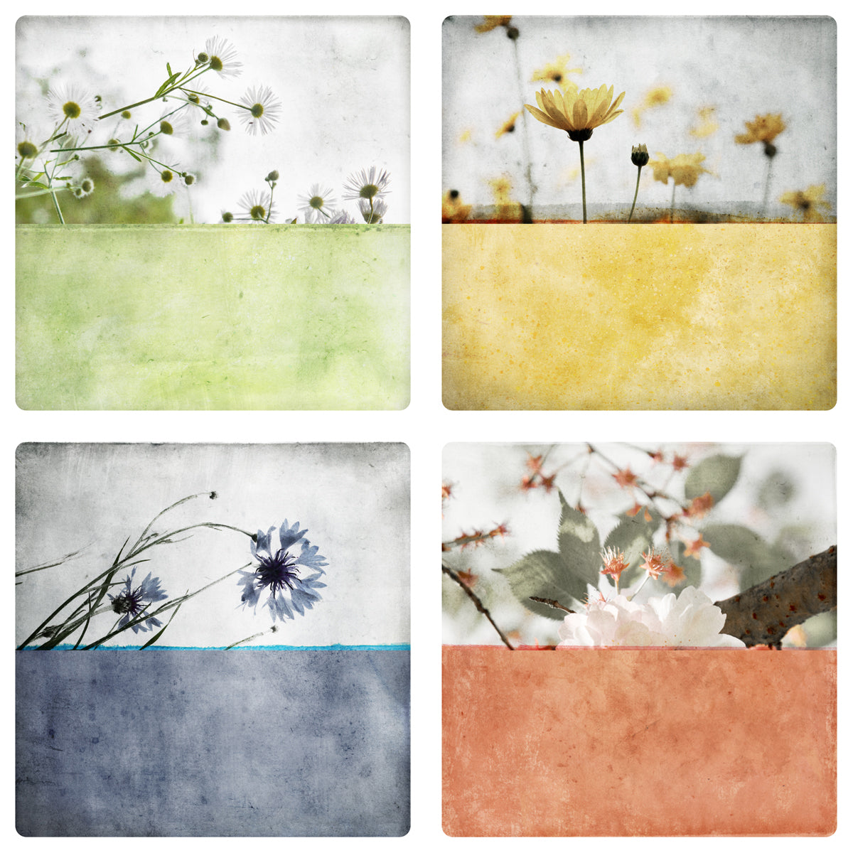 Set of 4 postcards - Pastel