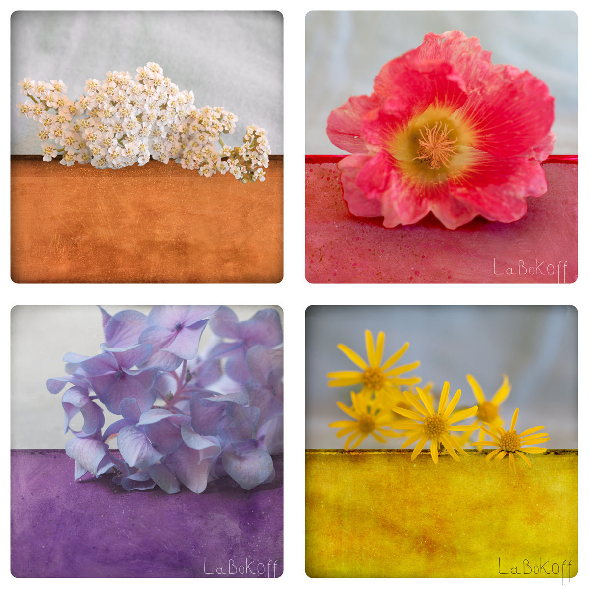 Set of 4 postcards - Flowers