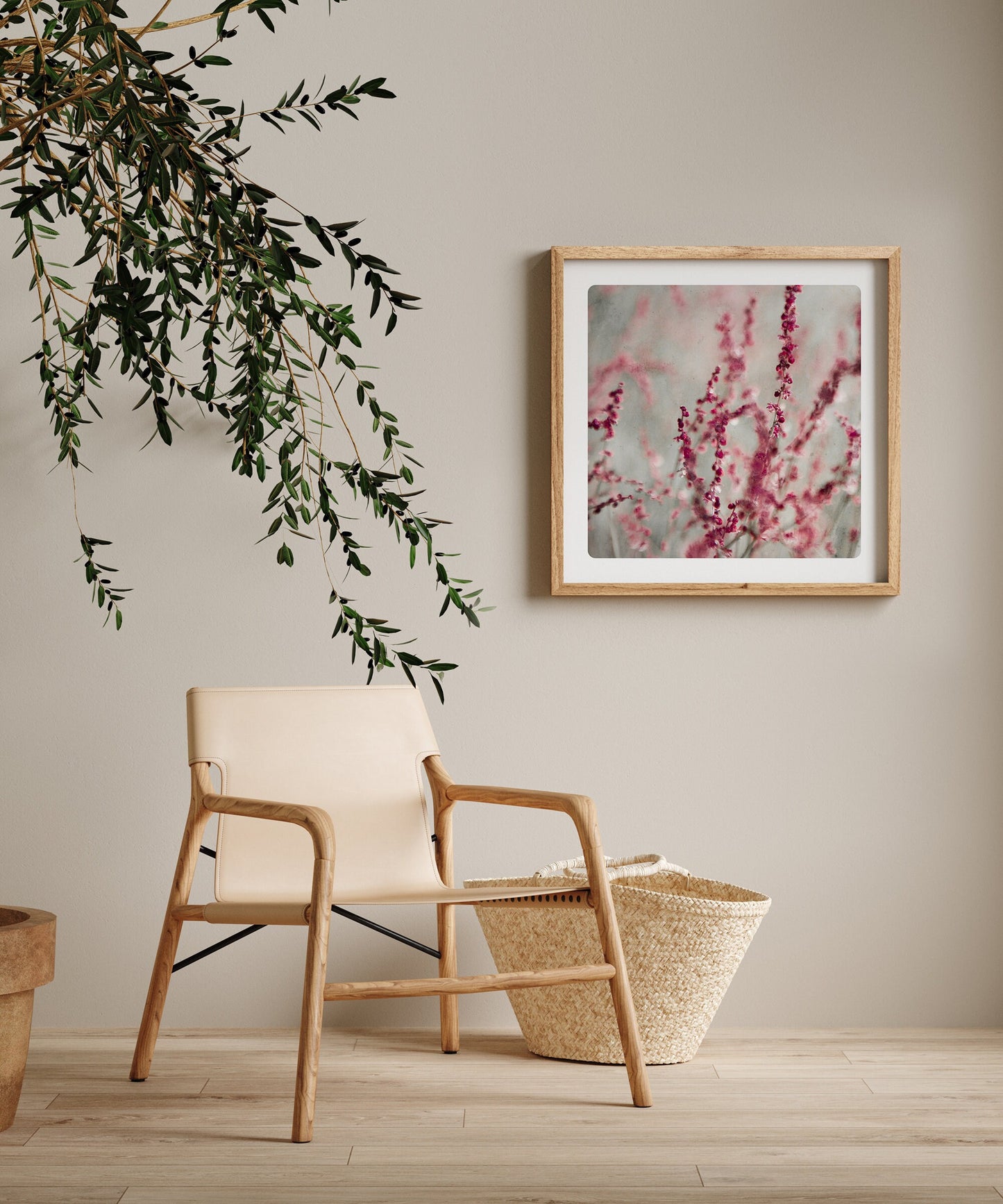 Herbe Rose