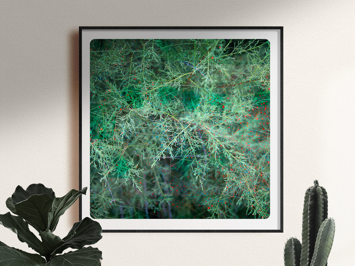Vegetal VET