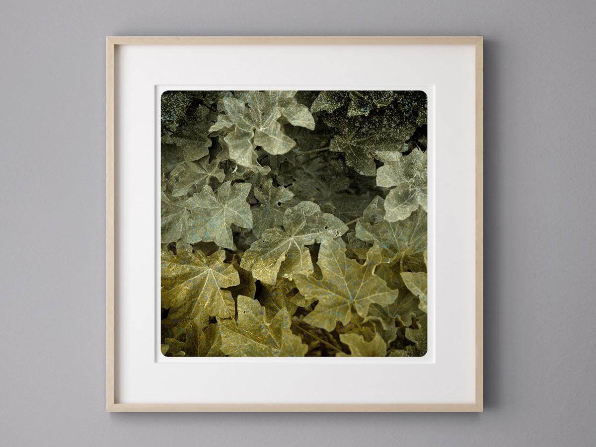 Vegetal – labokoff