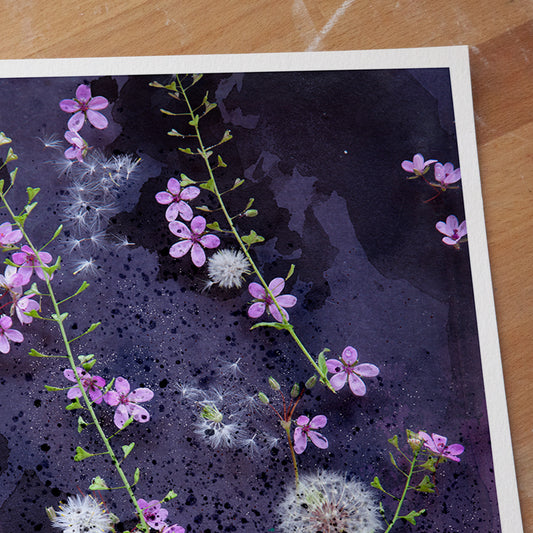 Violette