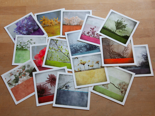 Set of 16 postcards