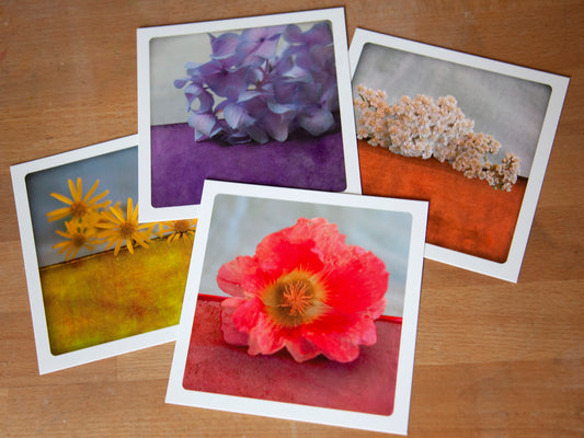 Set of 4 postcards - Flowers