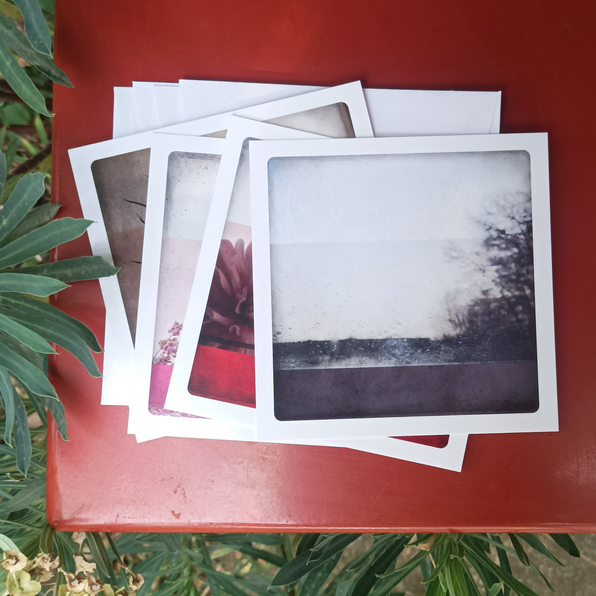 Set of 4 postcards - Autumn