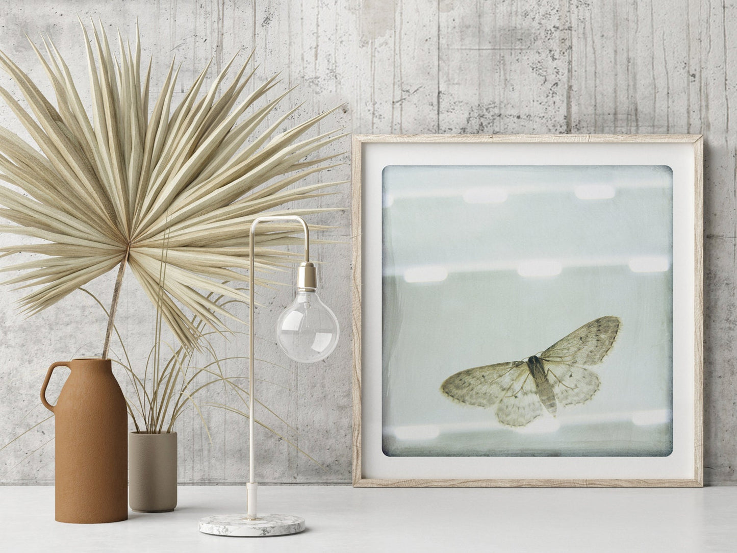 Papillon